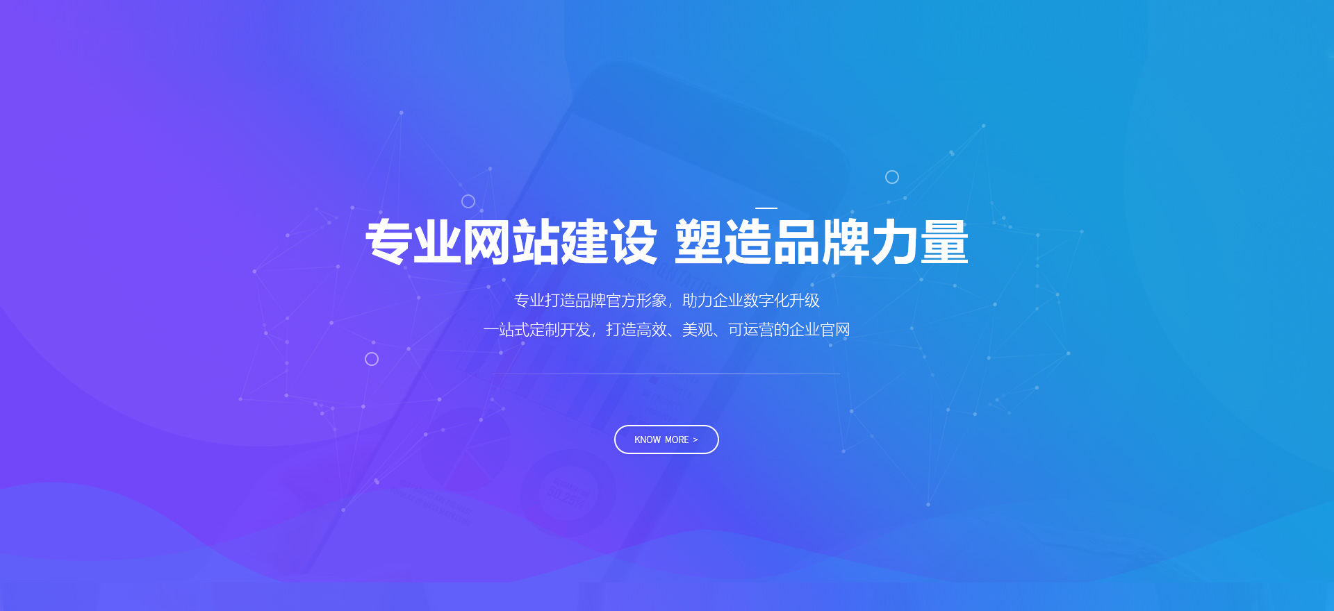 东营建站-专业网站建设 塑造品牌力量