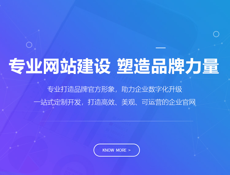 东营建站-专业网站建设 塑造品牌力量
